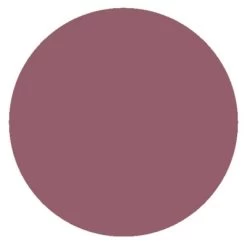 Embryolisse Secret De Maquilleurs Comfort Lip Balm Tinted 2,5g