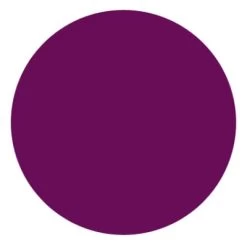 Incarose Plumping Lipstick 4,5ml